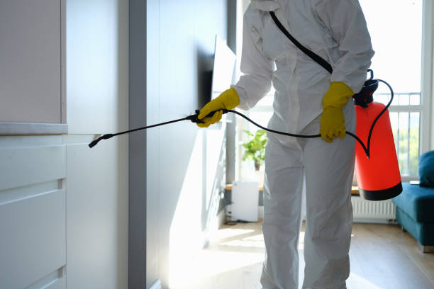 Professional Mold Removal in Laurel, FL